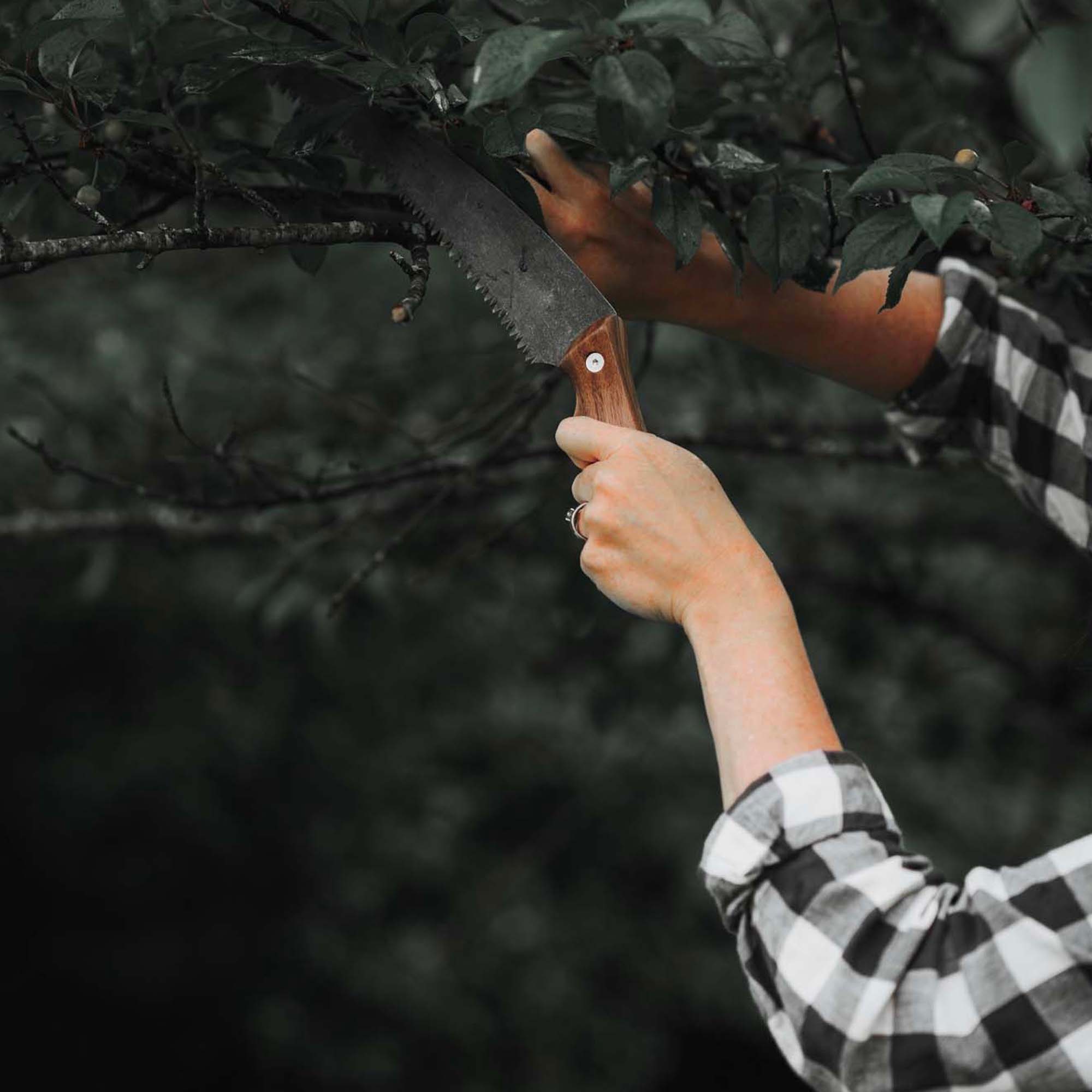 barebones-timber-s-ge-hands-ge-walnuss-camping-holz image 3
