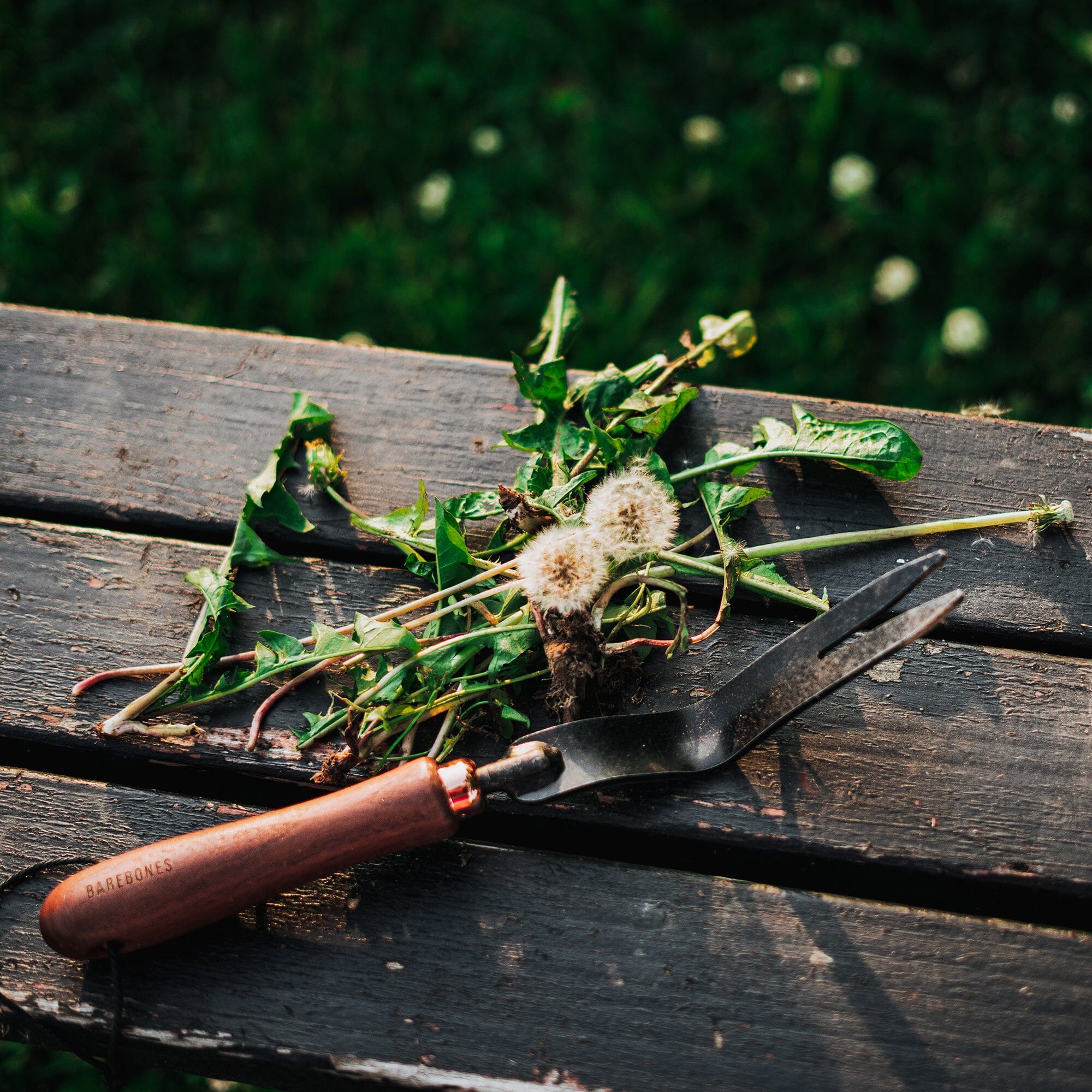 barebones-dandelion-unkrautstecher-ash-mint-edelstahl image 3