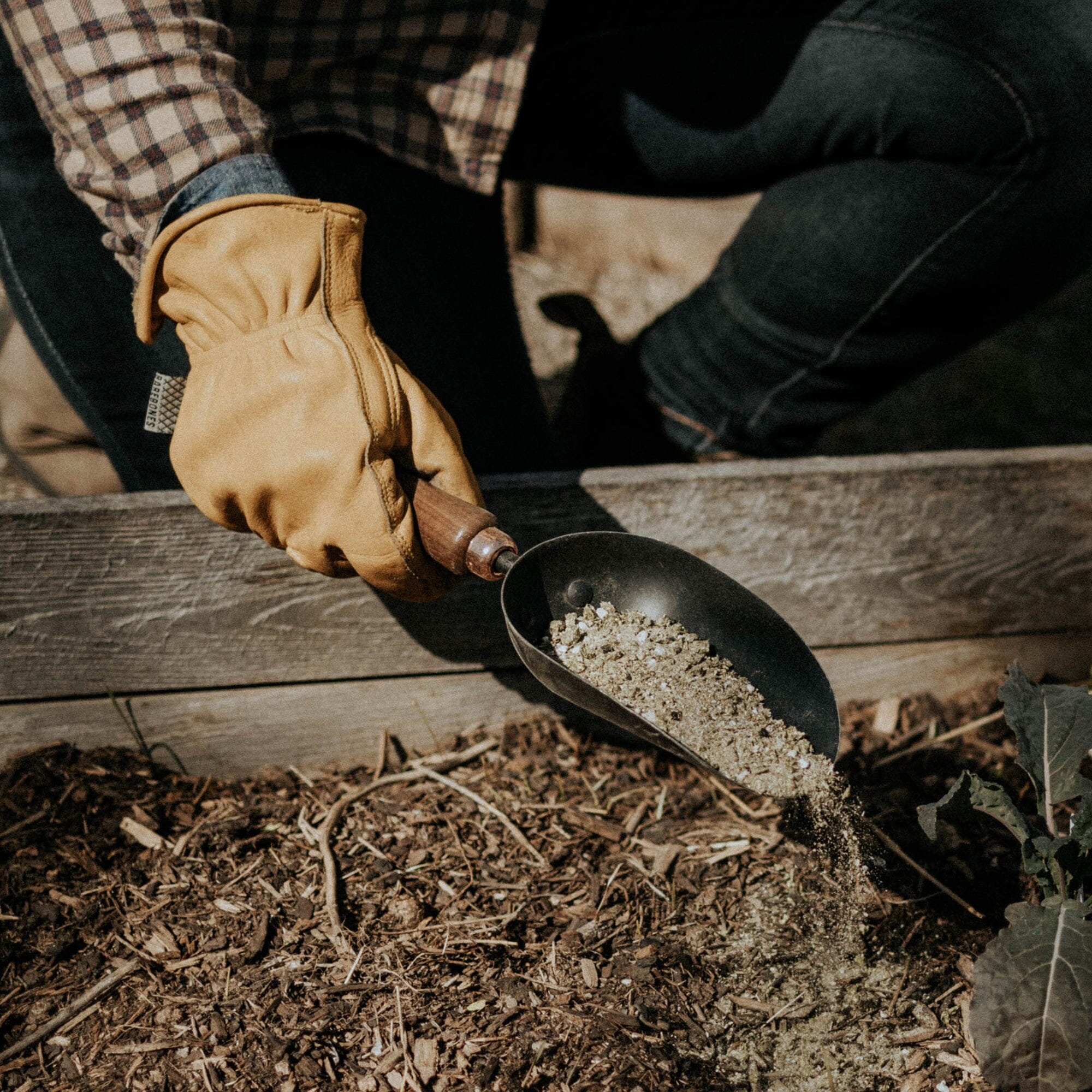 barebones-tools-garden-scoop-pflanzschaufel-walnut-black image 7
