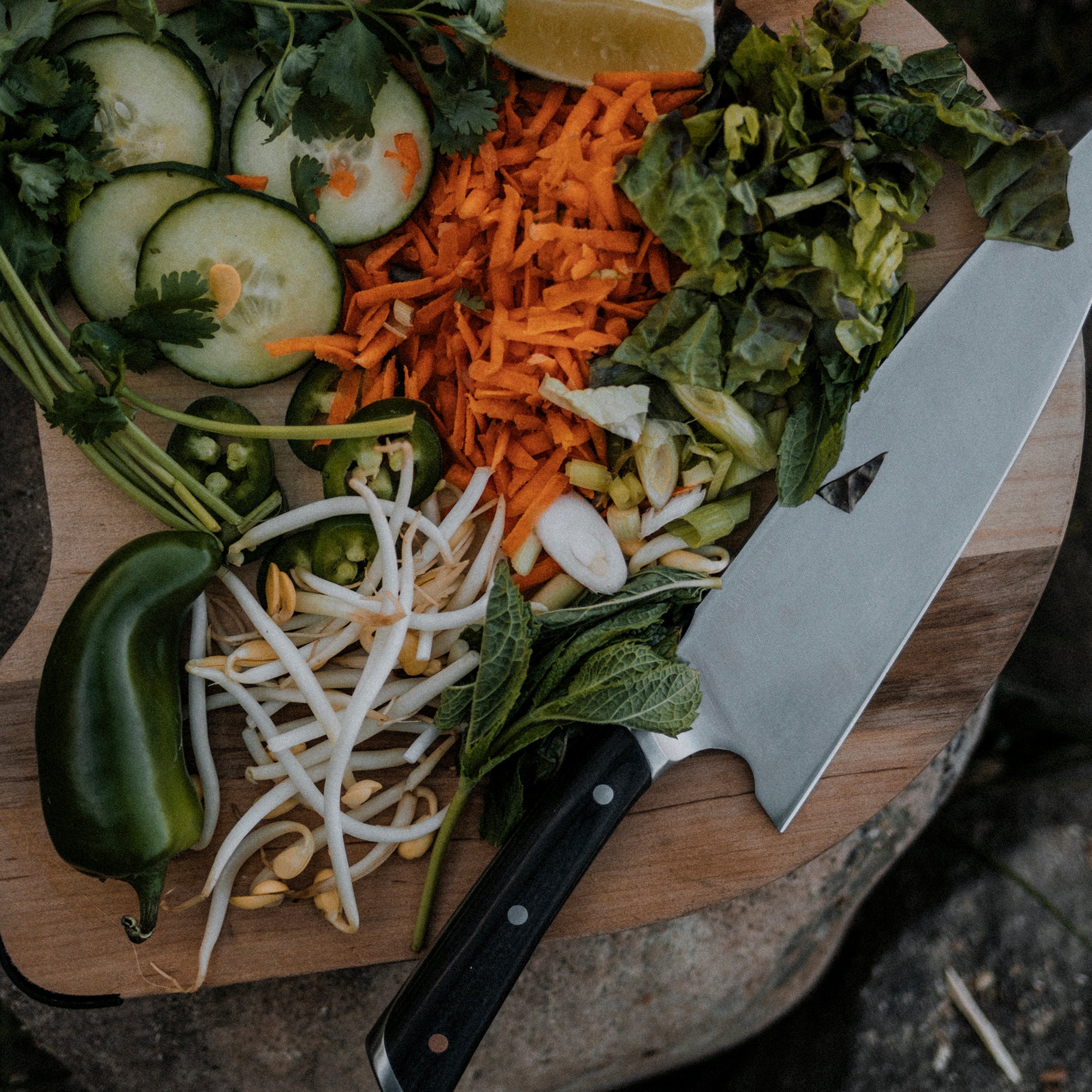 barebones-no-8-kochmesser-chef-edelstahl-pakkawood image 4
