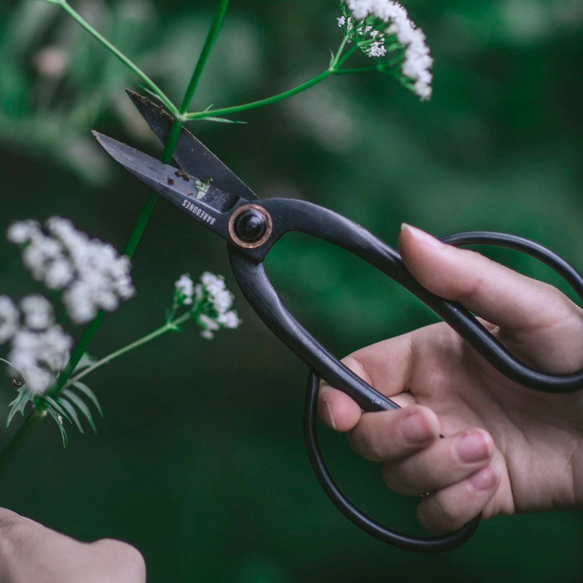 barebones-tools-artisan-pruning-gartenschere-schnitt-rostfrei image 8