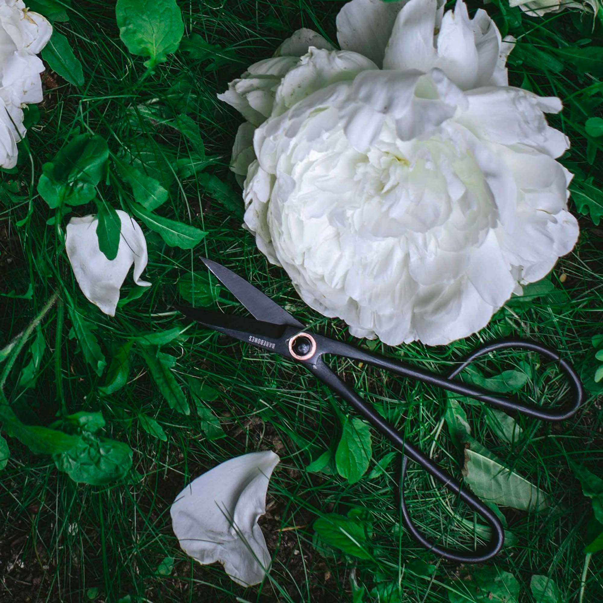 barebones-tools-artisan-pruning-gartenschere-schnitt-rostfrei image 4