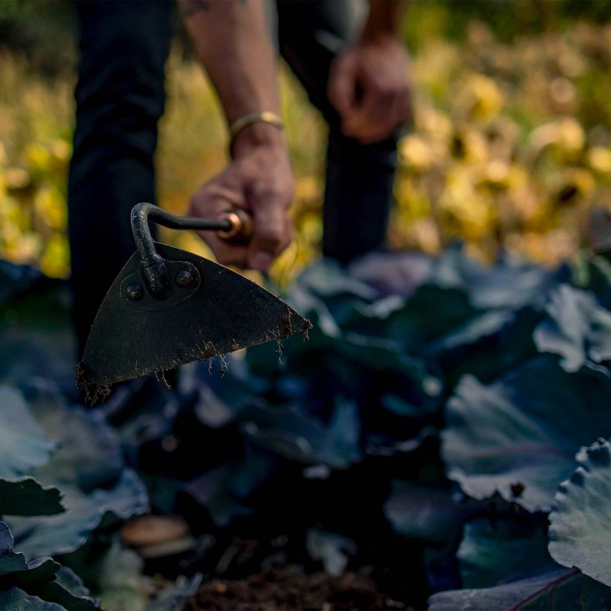 barebones-tools-triangle-hoe-gartenhacke-walnuss-edelstahl image 3