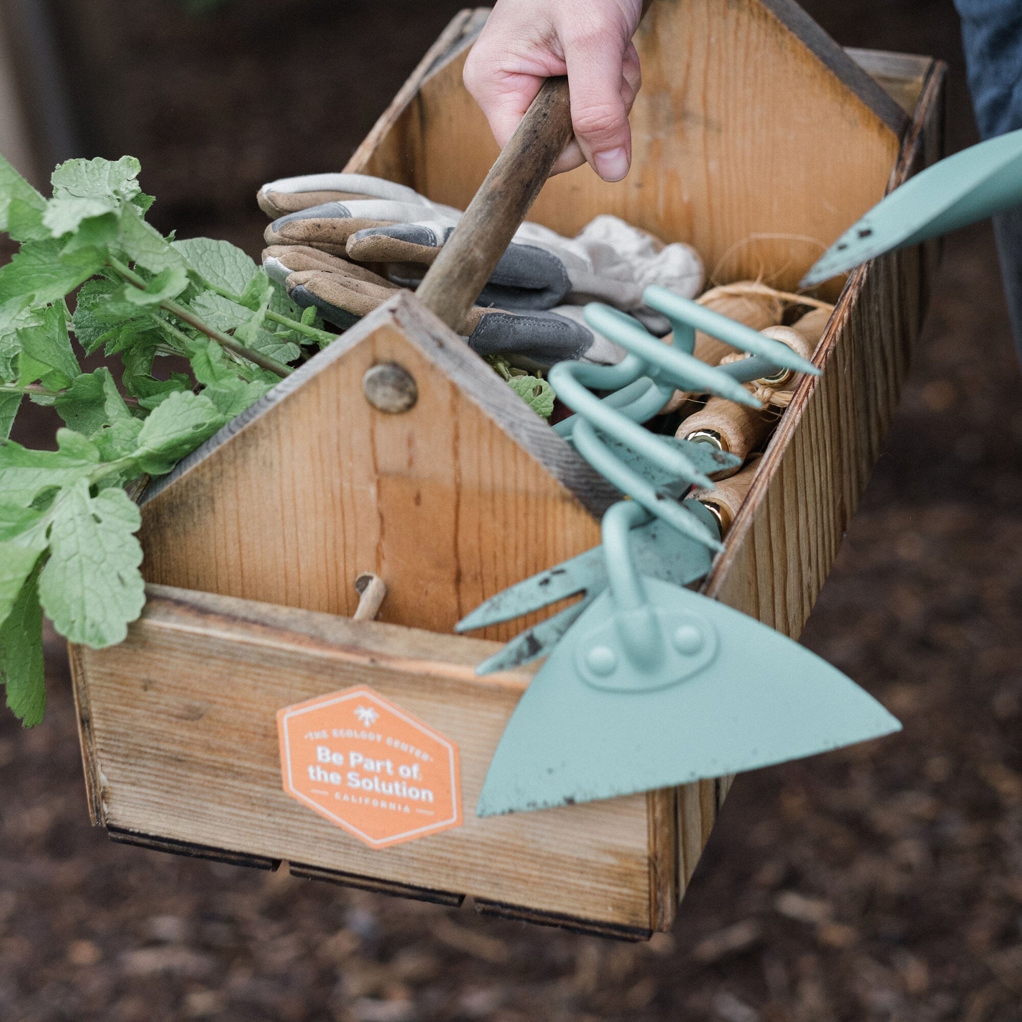 barebones-tools-triangle-hoe-gartenhacke-walnuss-edelstahl image 7